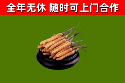 乡宁烟酒回收冬虫夏草.jpg